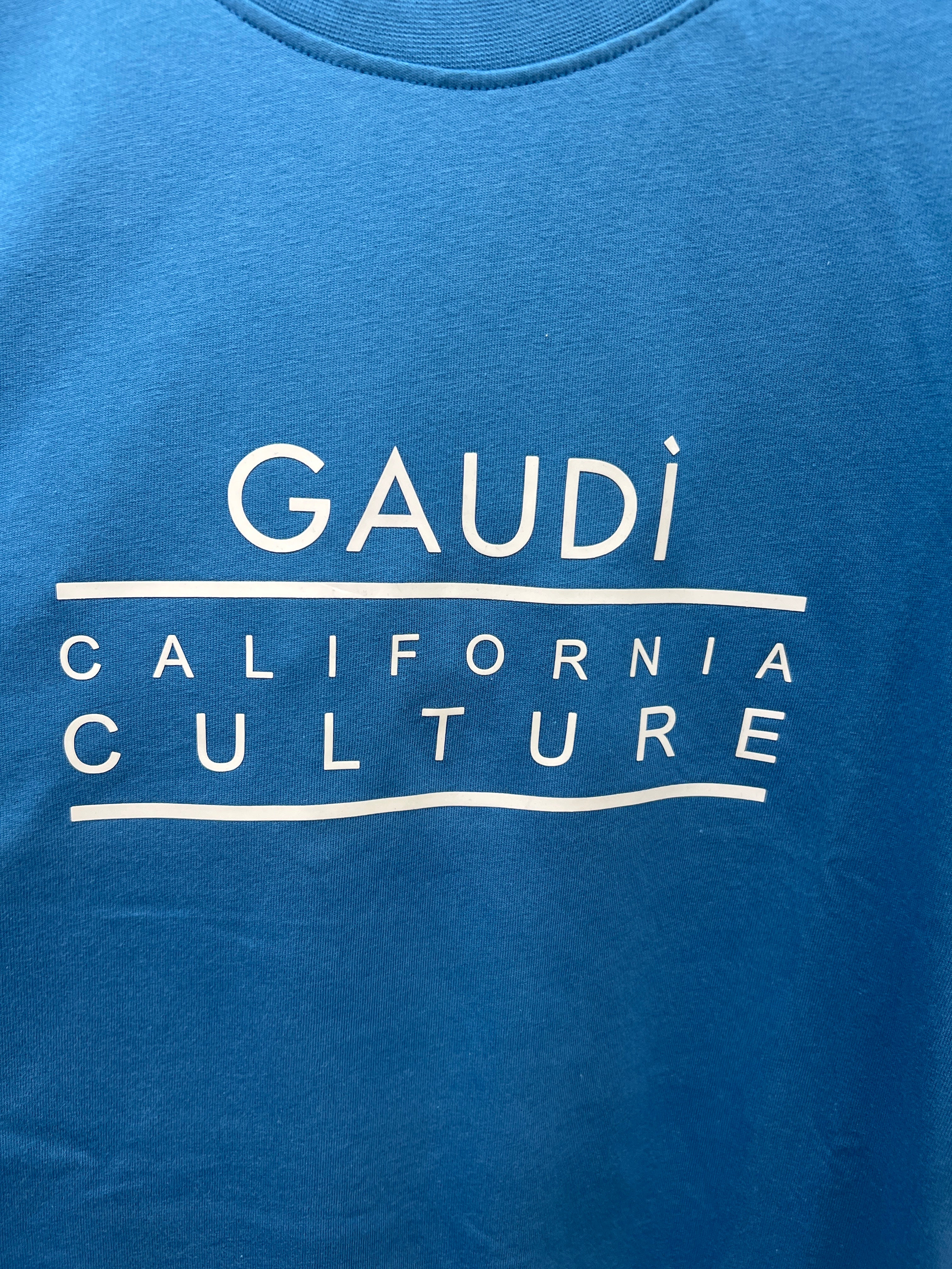 T-shirt ragazzo Gaudì