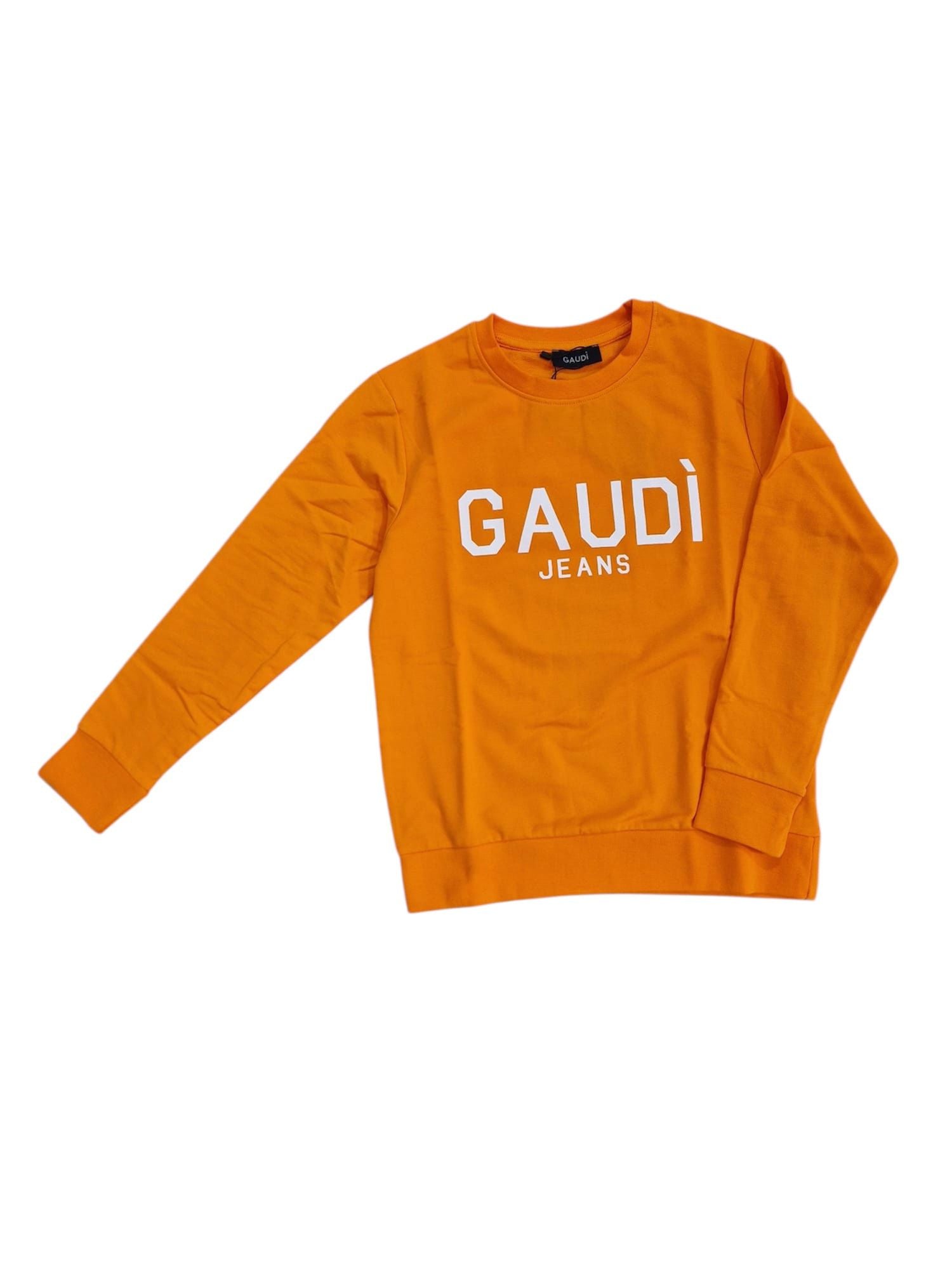 Felpa stampa ragazzo GAUDÌ